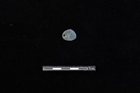 板岩片藏品圖，第2張